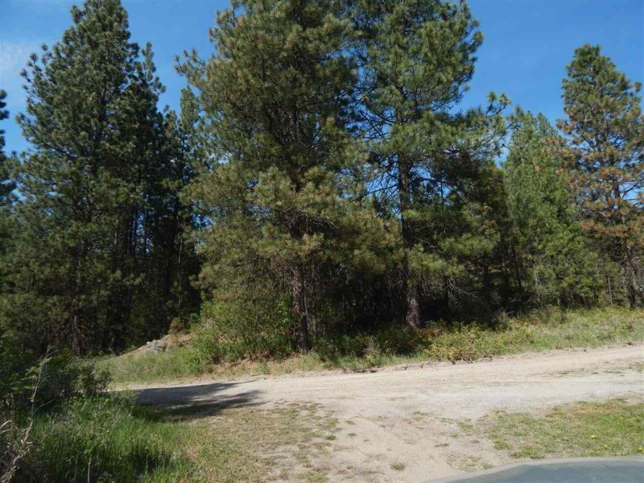 1132 C Philleo Road Addy, WA 99101 - Photo 6 of 6 Gallery Image 6