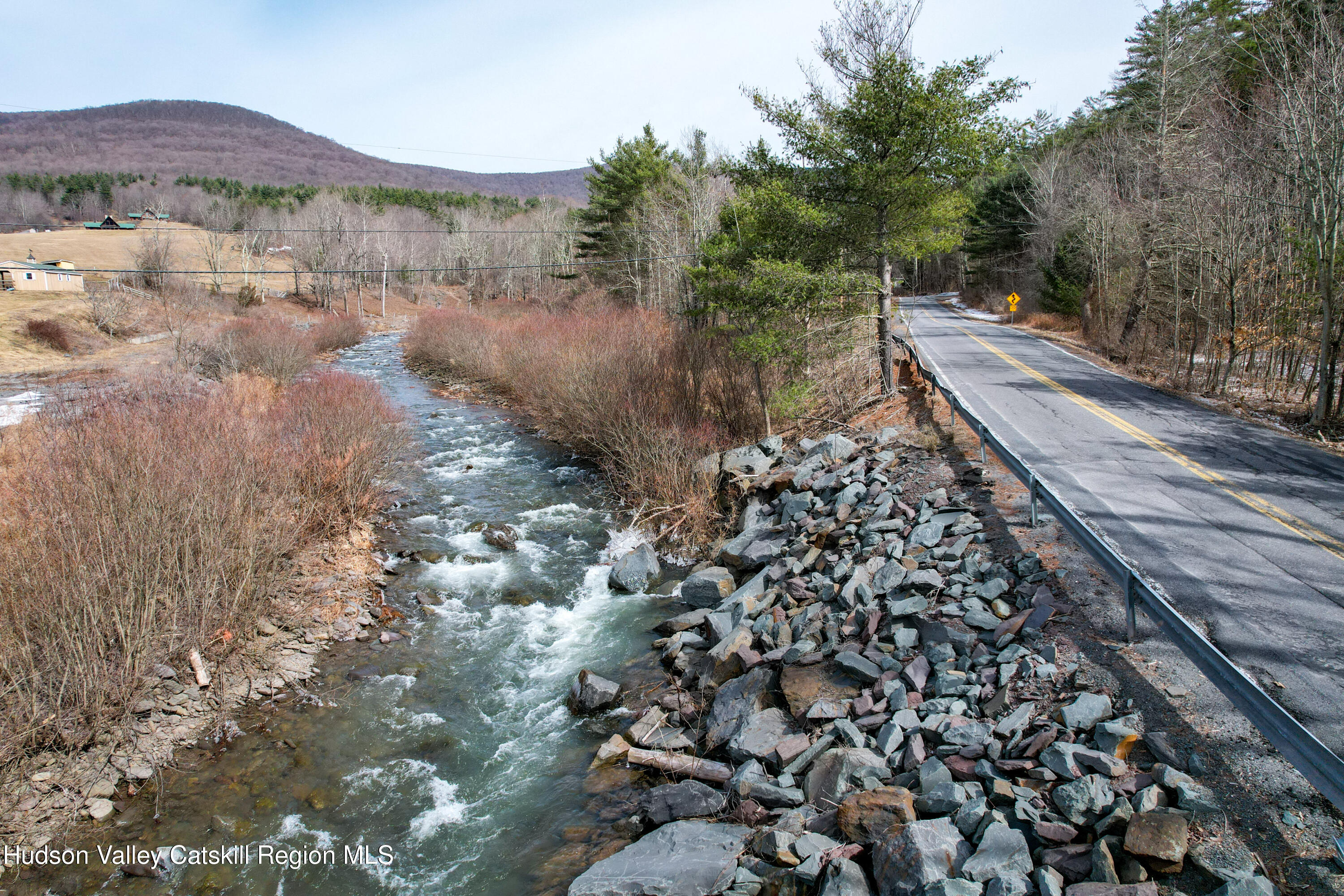 Tbd Spruceton Road West Kill, NY 12492 - Photo 5 of 15 a view of a forest with mountain