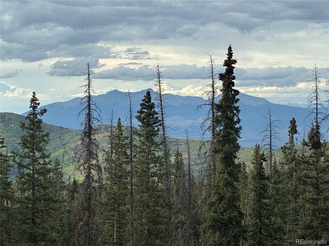 9 Clinton Road San Luis, CO 81152 - Photo 13 of 25 Gallery Image 13