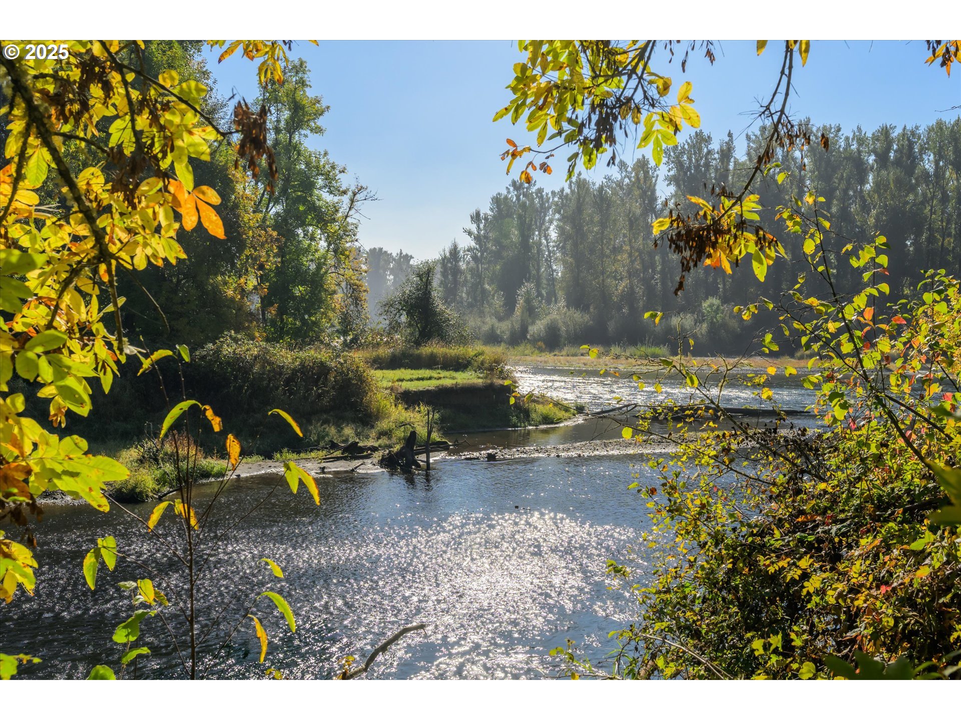 35012 McKenzie View Drive Springfield, OR 97478 - Photo 24 of 47 a backyard of a house with table and chairs