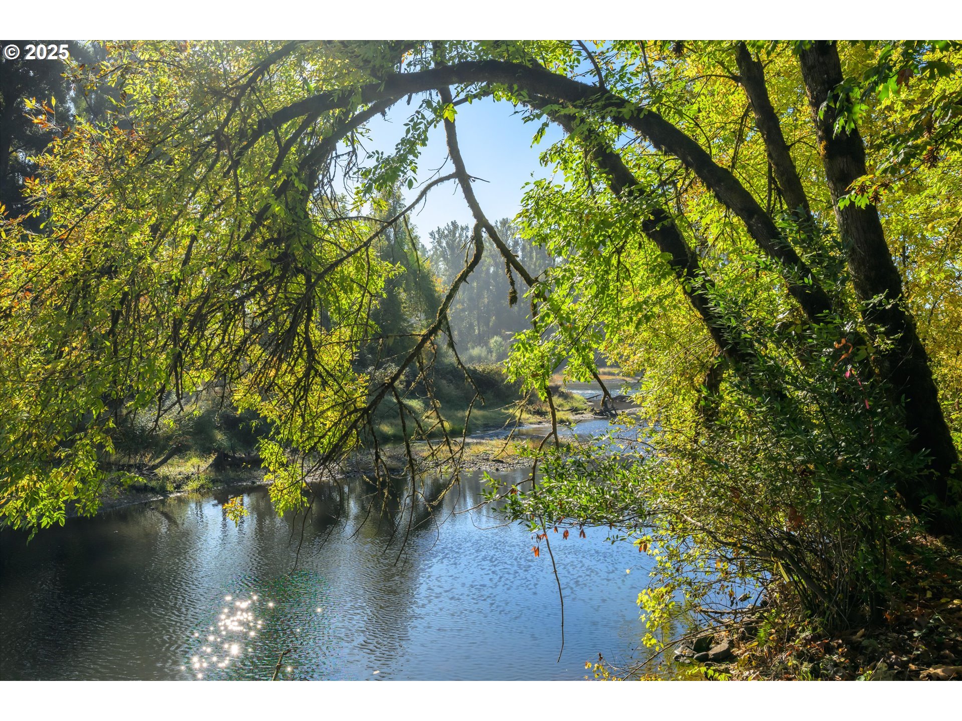 35012 McKenzie View Drive Springfield, OR 97478 - Photo 25 of 47 a view of swimming pool with yard