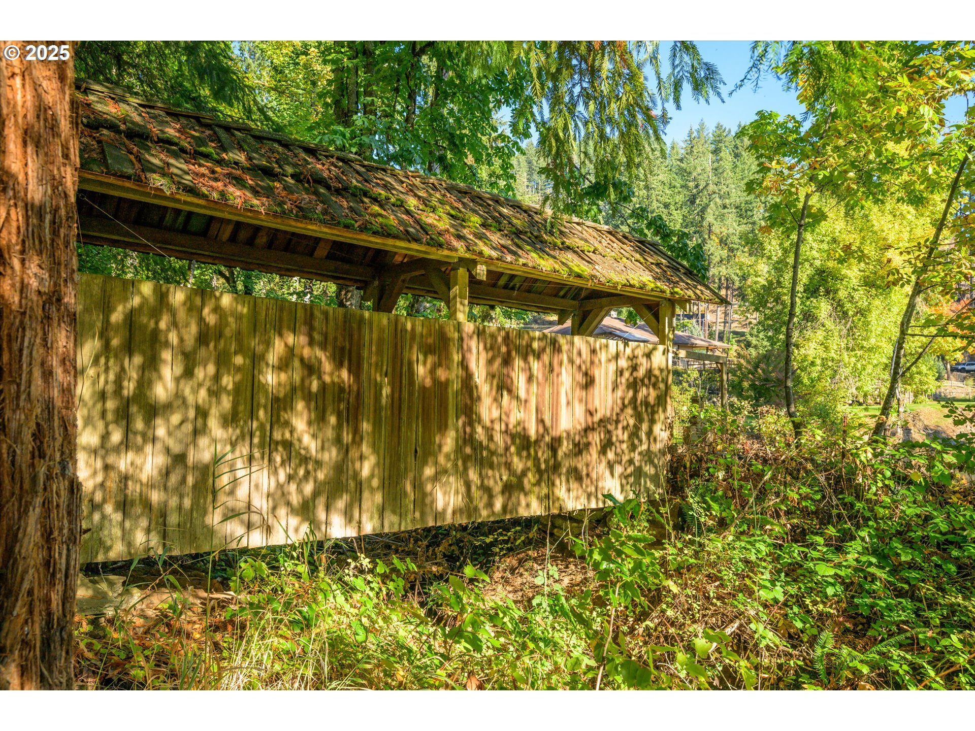 35012 McKenzie View Drive Springfield, OR 97478 - Photo 27 of 47 a view of outdoor space and a yard