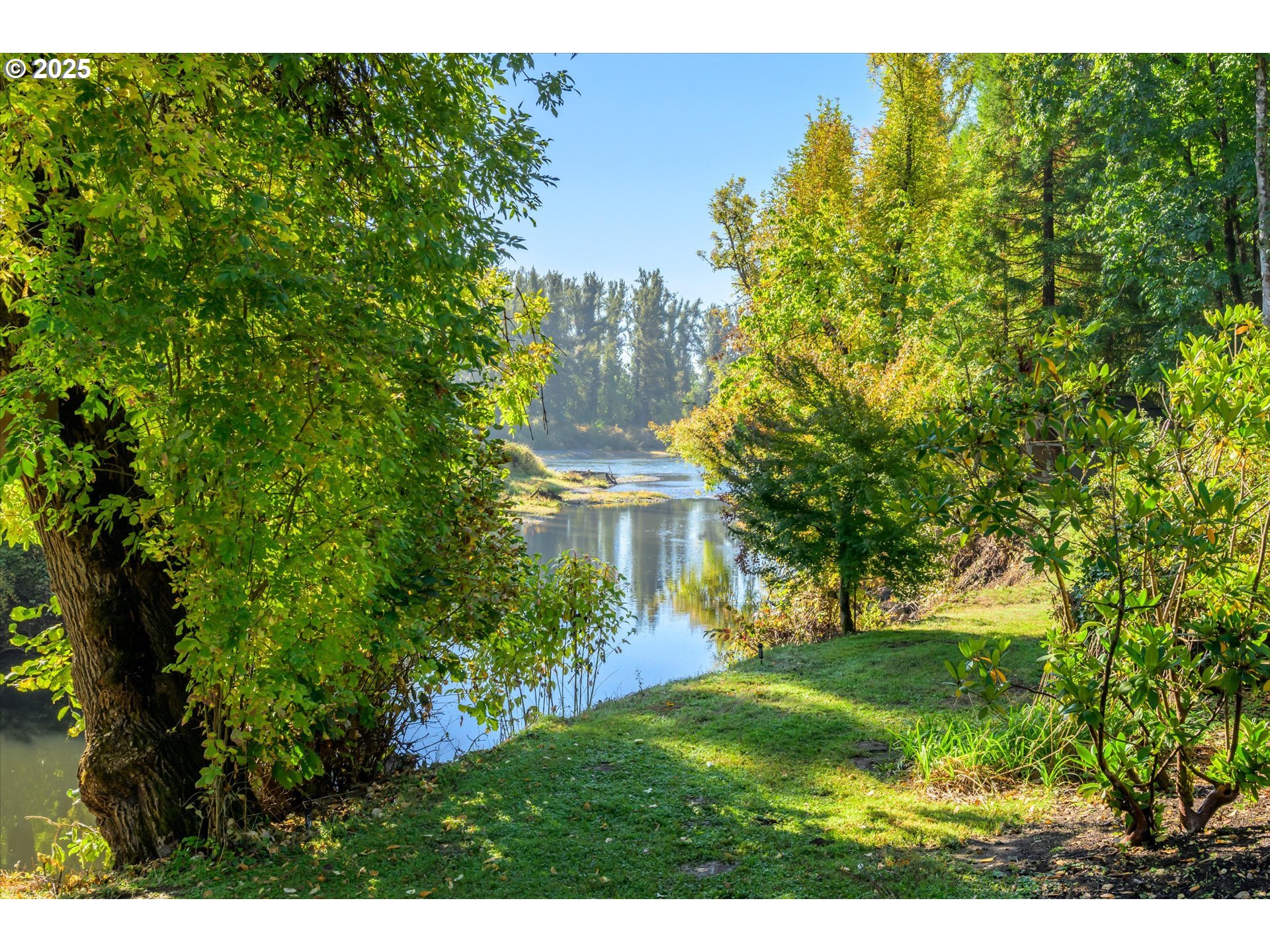 35012 McKenzie View Drive Springfield, OR 97478 - Photo 41 of 47 a view of a big yard with plants and a large tree