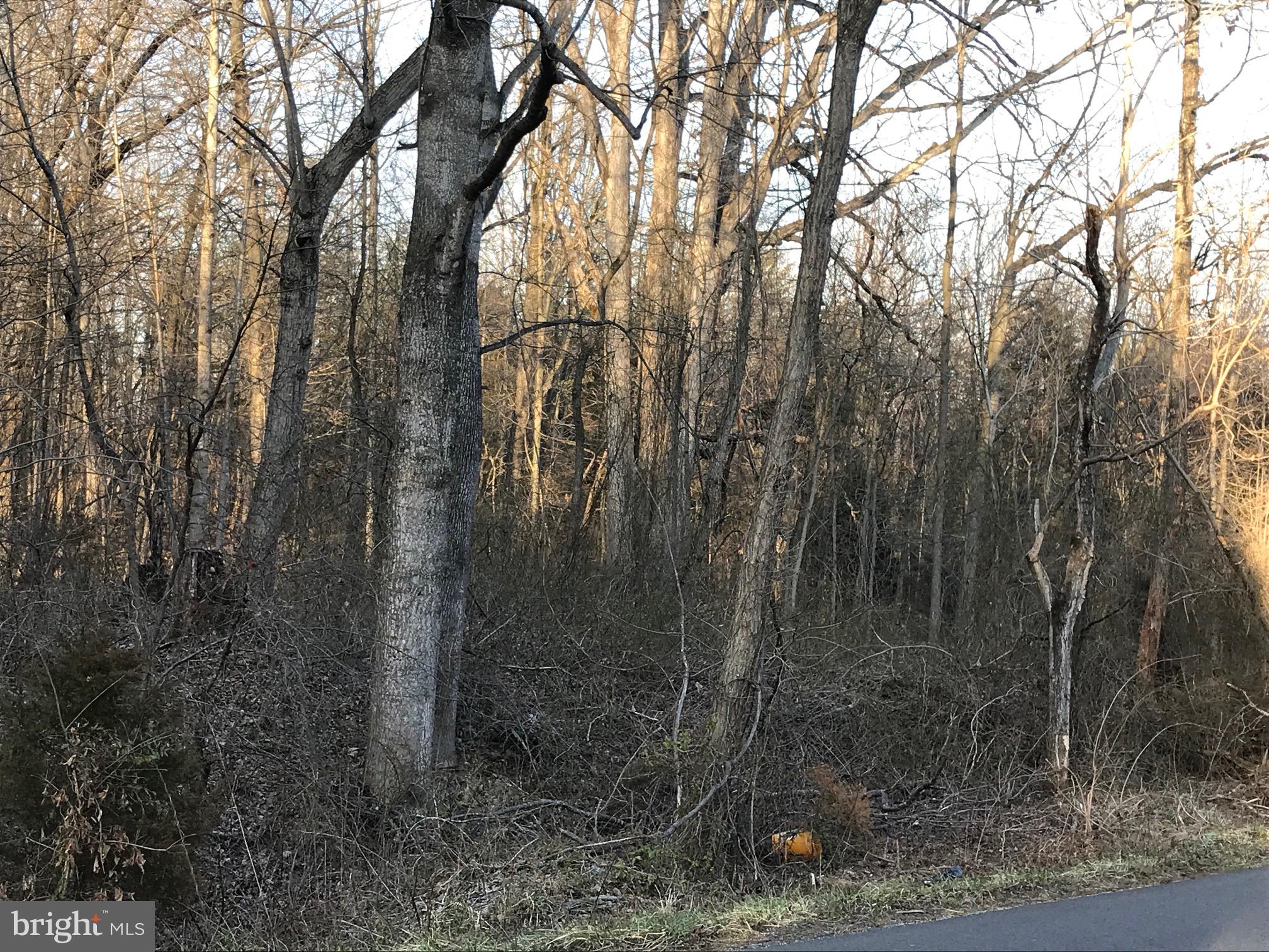 0 North Merrimac Road North Culpeper, VA 22701 - Photo 6 of 27