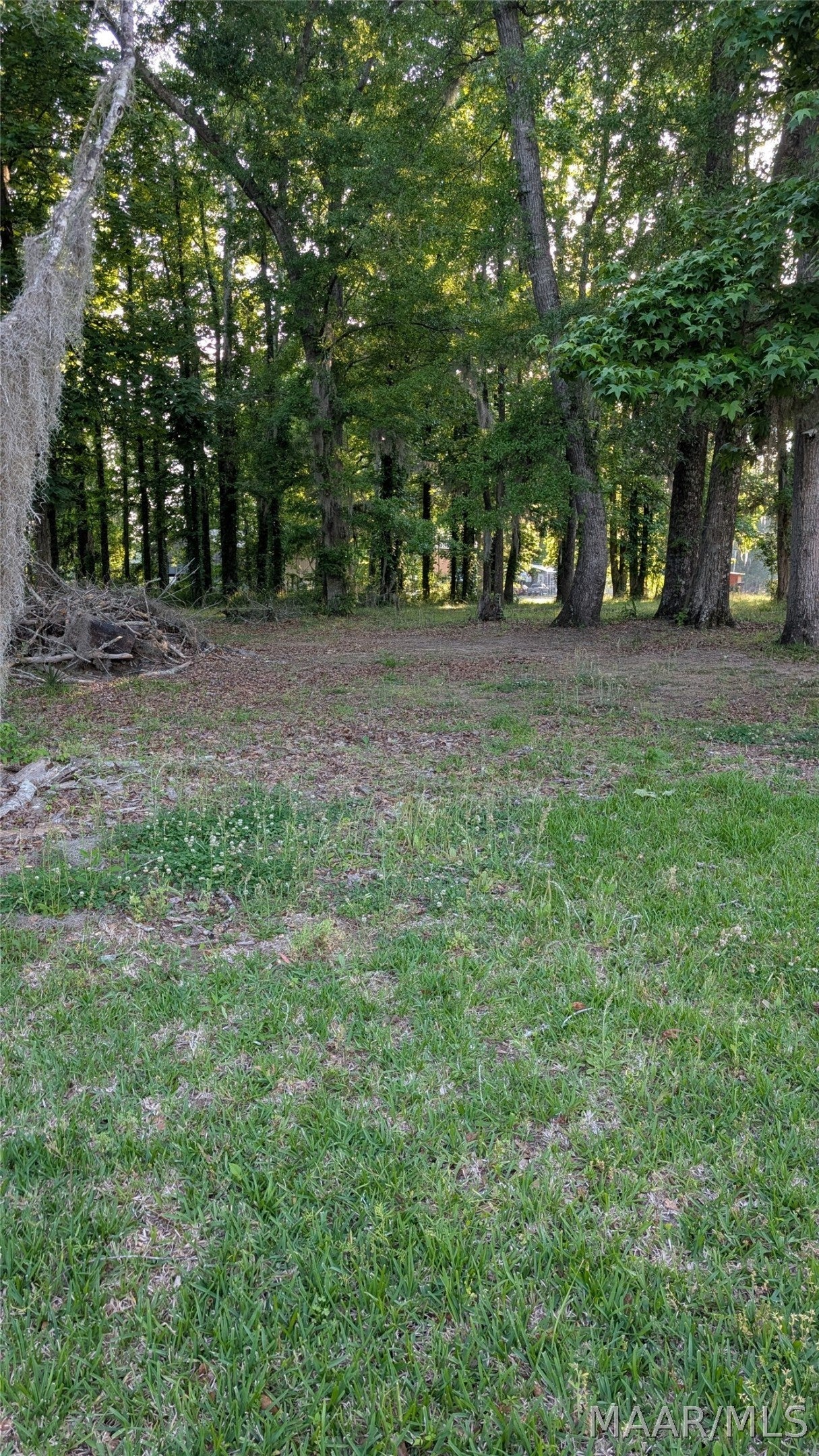 14 Choctaw Road Orrville, AL 36767 - Photo 7 of 9 Gallery Image 7