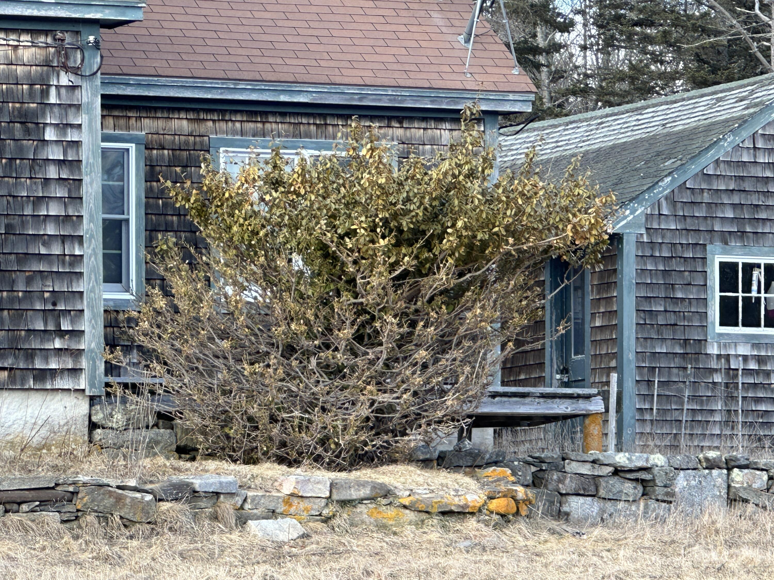 47 Ridge Road St. George, ME 04860 - Photo 16 of 44 IMG_2189 3