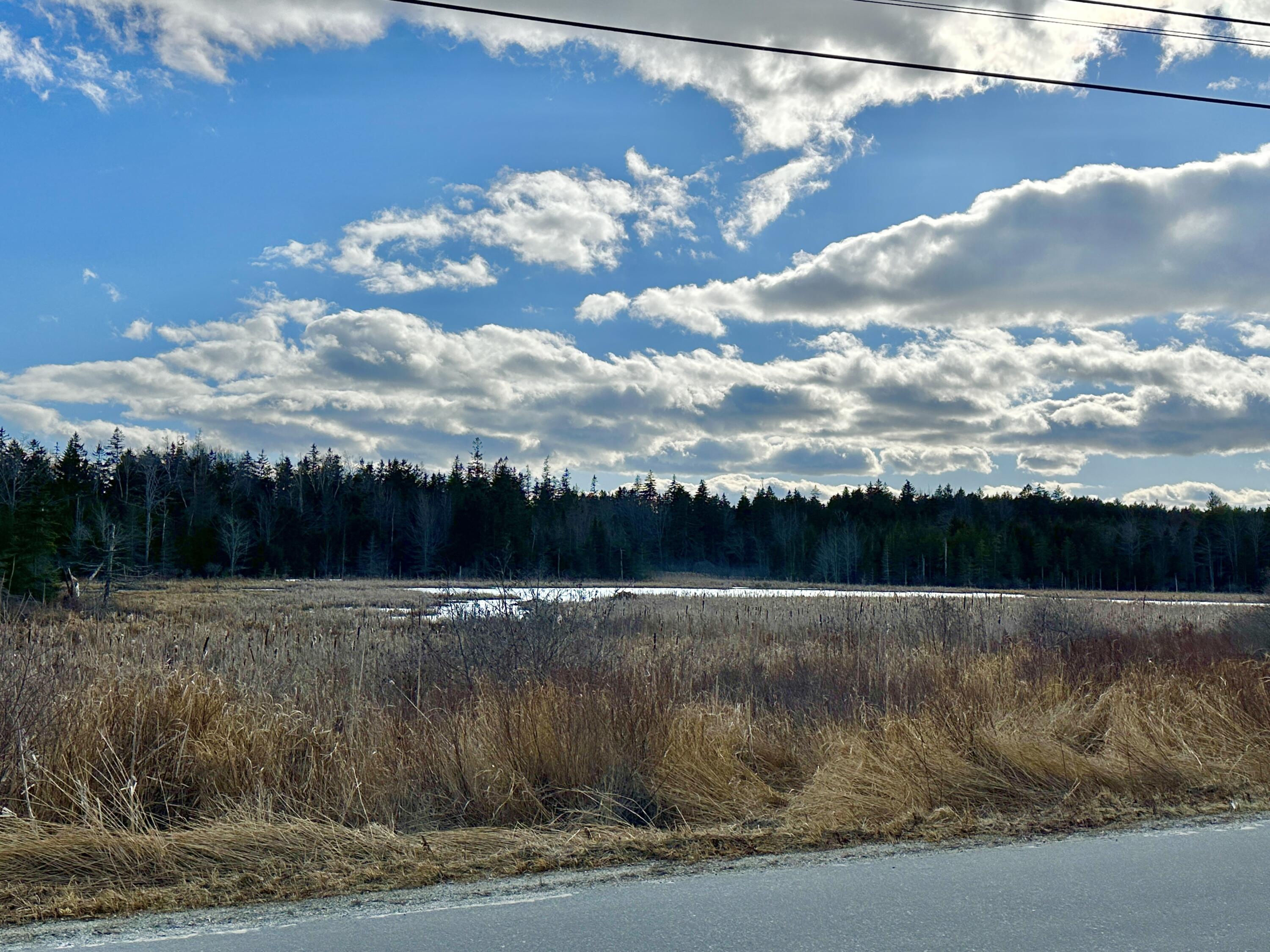 47 Ridge Road St. George, ME 04860 - Photo 4 of 39 Broad Freshwater Marsh Views
