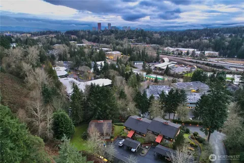 a view of a swimming pool and lounge chair