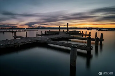 a view of a park with large trees