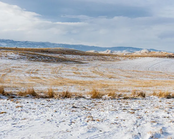 $195,000 | 33 Horseshoe Meadow Lane, Buffalo, WY 82834