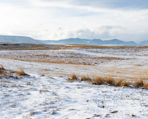 $195,000 | 33 Horseshoe Meadow Lane, Buffalo, WY 82834