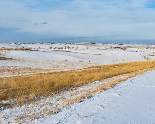 $195,000 | 33 Horseshoe Meadow Lane, Buffalo, WY 82834