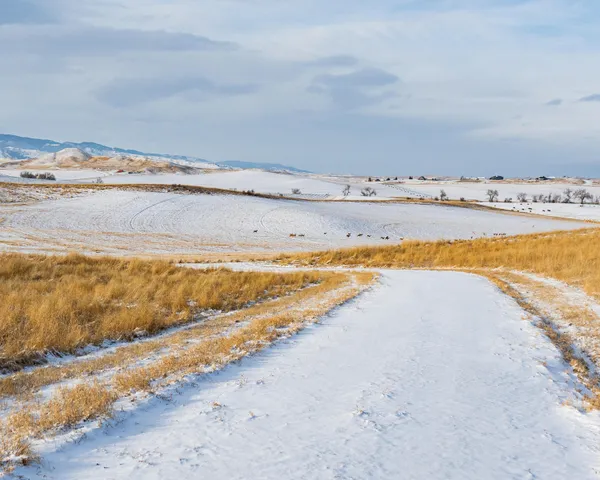 $195,000 | 33 Horseshoe Meadow Lane, Buffalo, WY 82834