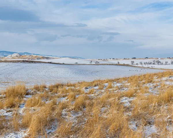 $195,000 | 33 Horseshoe Meadow Lane, Buffalo, WY 82834