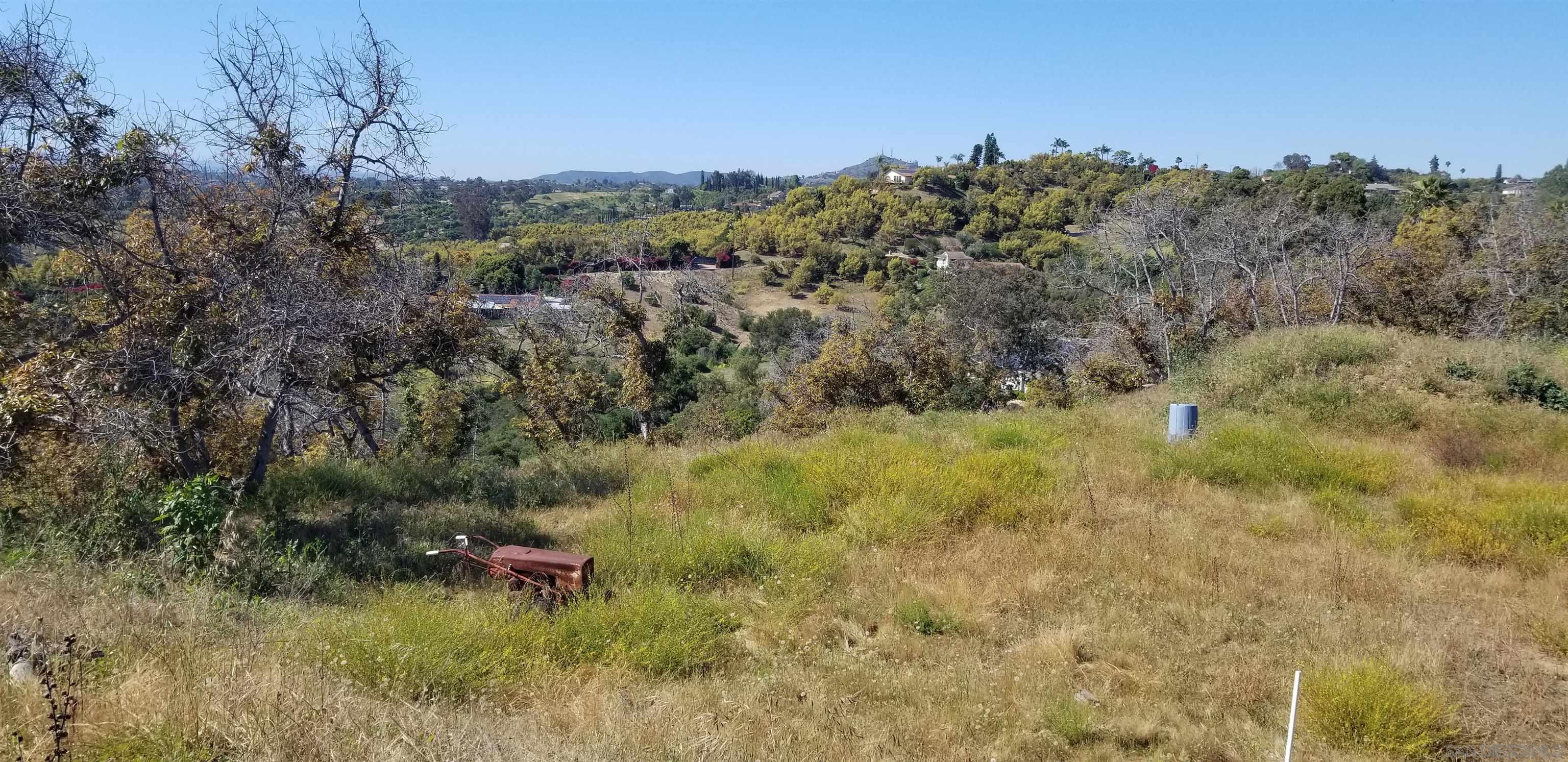 3240 Vía Del Cielo Fallbrook, CA 92028 - Photo 12 of 23 a view of a bunch of trees and bushes