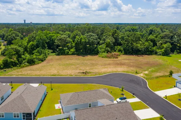 $325,000 | 0 William Clark Boulevard, Santee, SC 29142