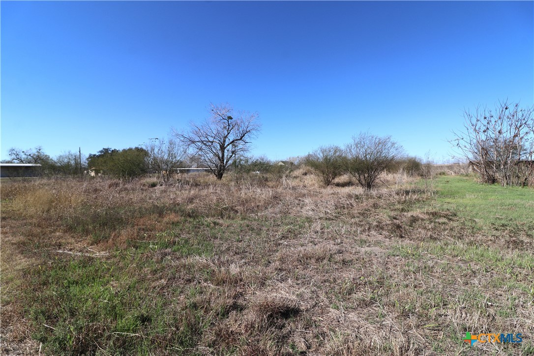 0 Cotton Street Fannin, TX 77960 - Photo 17 of 25