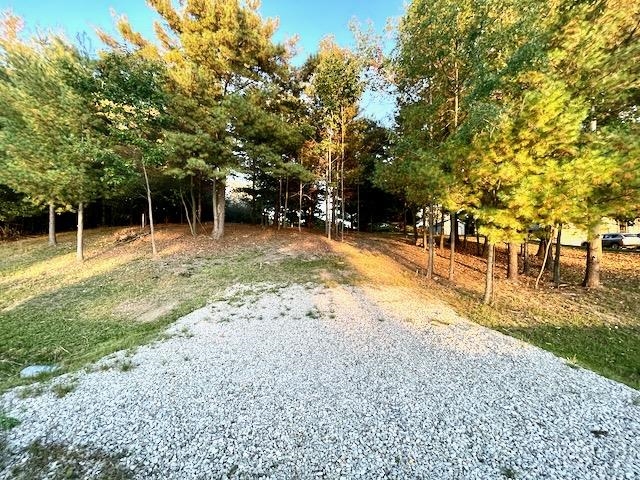 Lot 263 Islanders Way Gladwin, MI 48624 - Photo 2 of 10