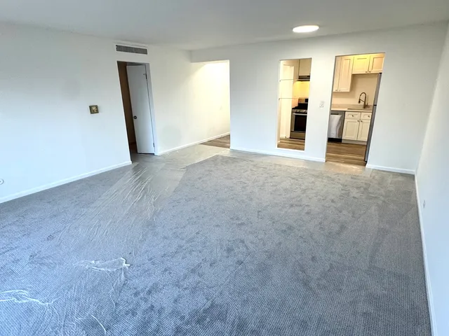 a view of a big room with closet and windows