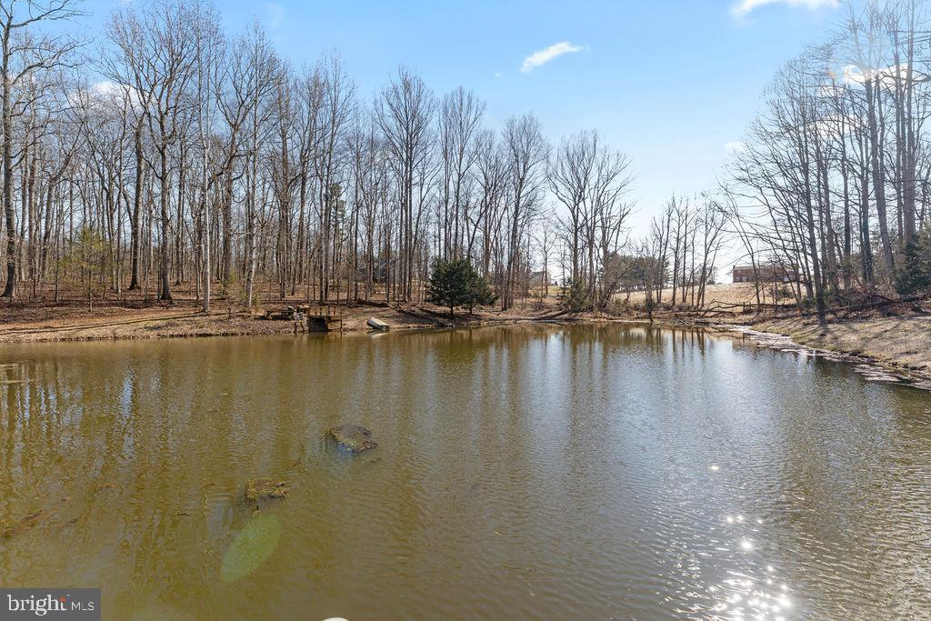 15383 Norman Road Culpeper, VA 22701 - Photo 56 of 57 Gallery Image 56