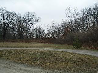 10054 Minx Road Temperance, MI 48182 - Photo 16 of 19 Spacious Yard