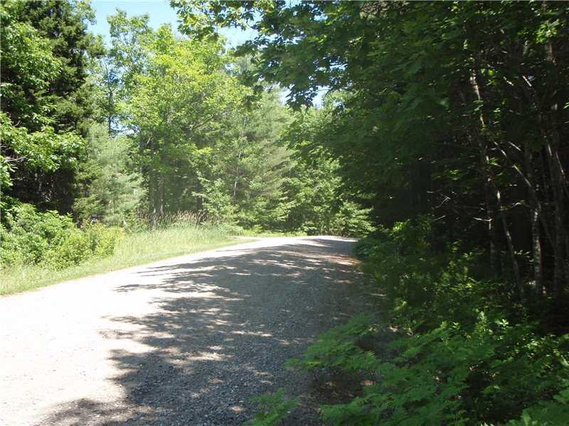 0 Oak Run Road Westport Island, ME 04578 - Photo 8 of 12 Land/Lot. View of road from lot...