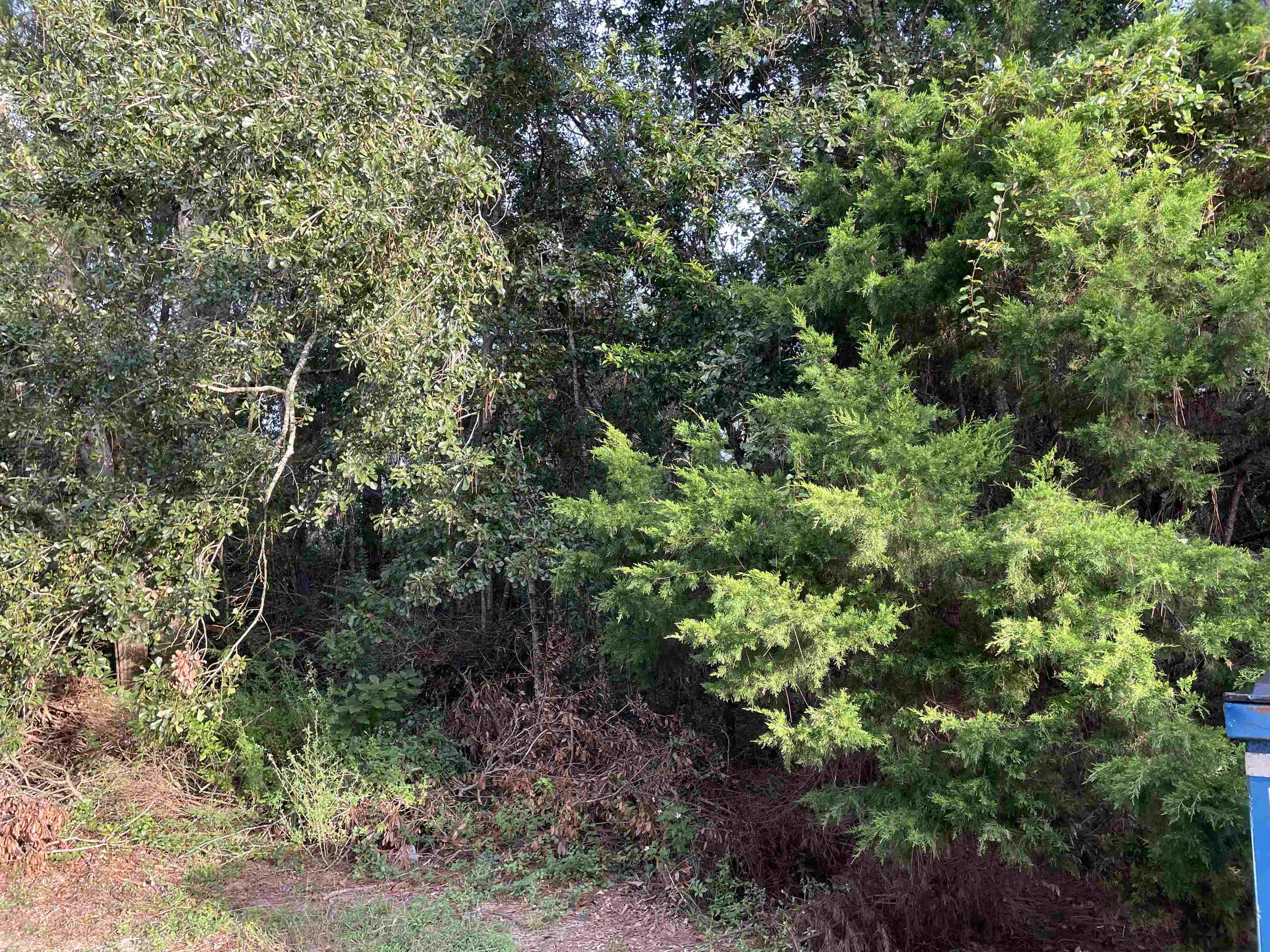0 Victoria Street Elberta, AL 36530 - Photo 15 of 15