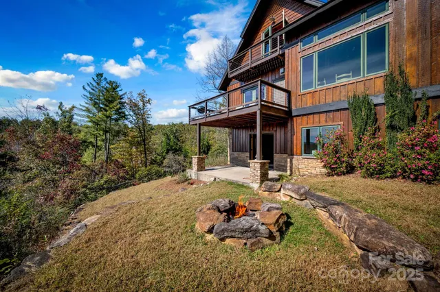 a view of a backyard with potted plants