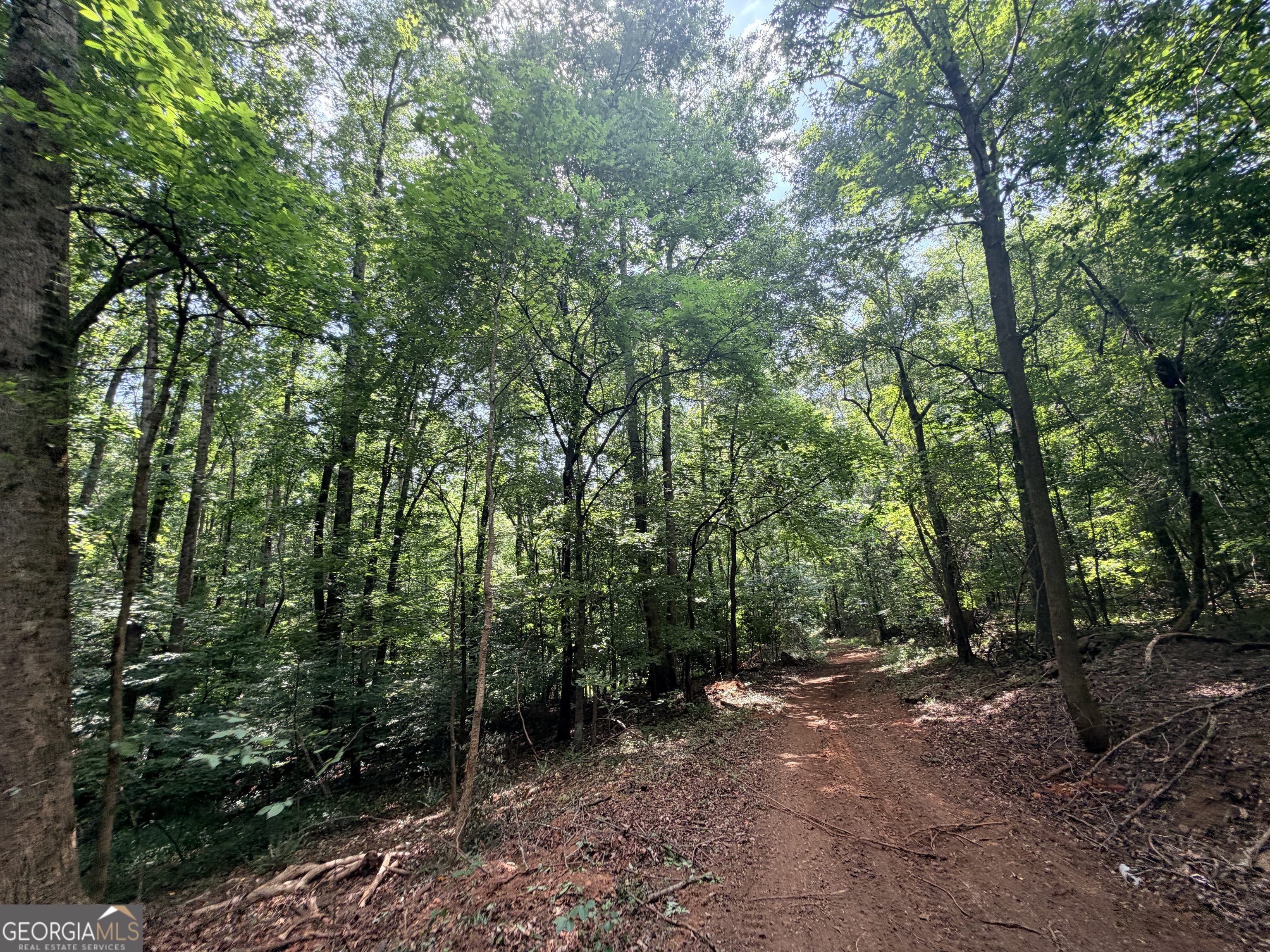 1590 James Adams Road Danielsville, GA 30633 - Photo 40 of 98