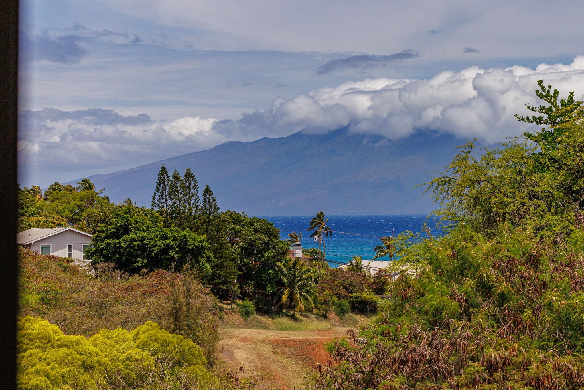 120 Hui Rd F, Unit E16 Lahaina, HI 96761 - Photo 4 of 24 a view of a garden