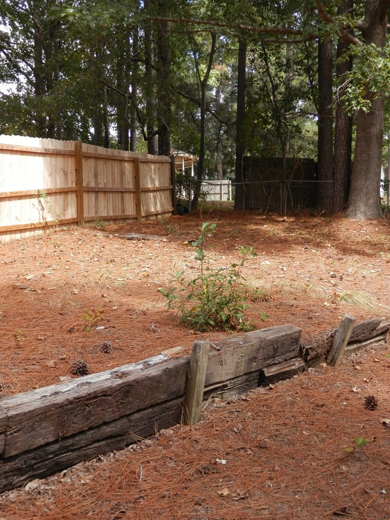 2653 Barclay Road Hephzibah, GA 30815 - Photo 5 of 19