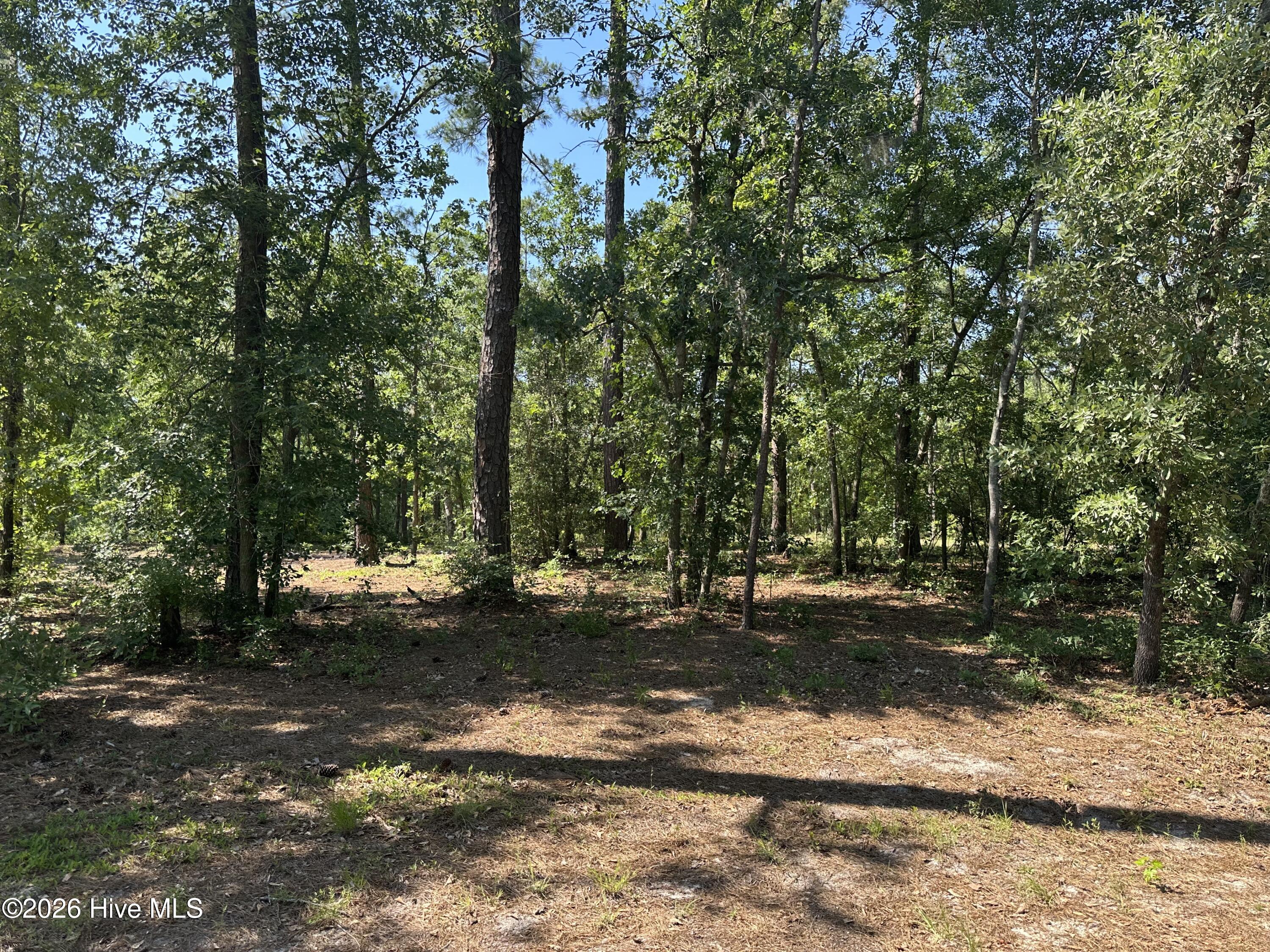2 Big Eagle Road Atkinson, NC 28421 - Photo 3 of 8