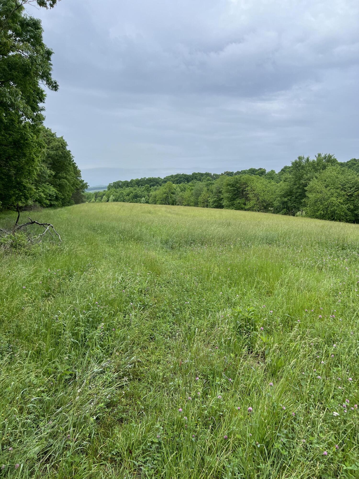 0 Eberle Road McKee, KY 40447 - Photo 11 of 12 IMG_2877