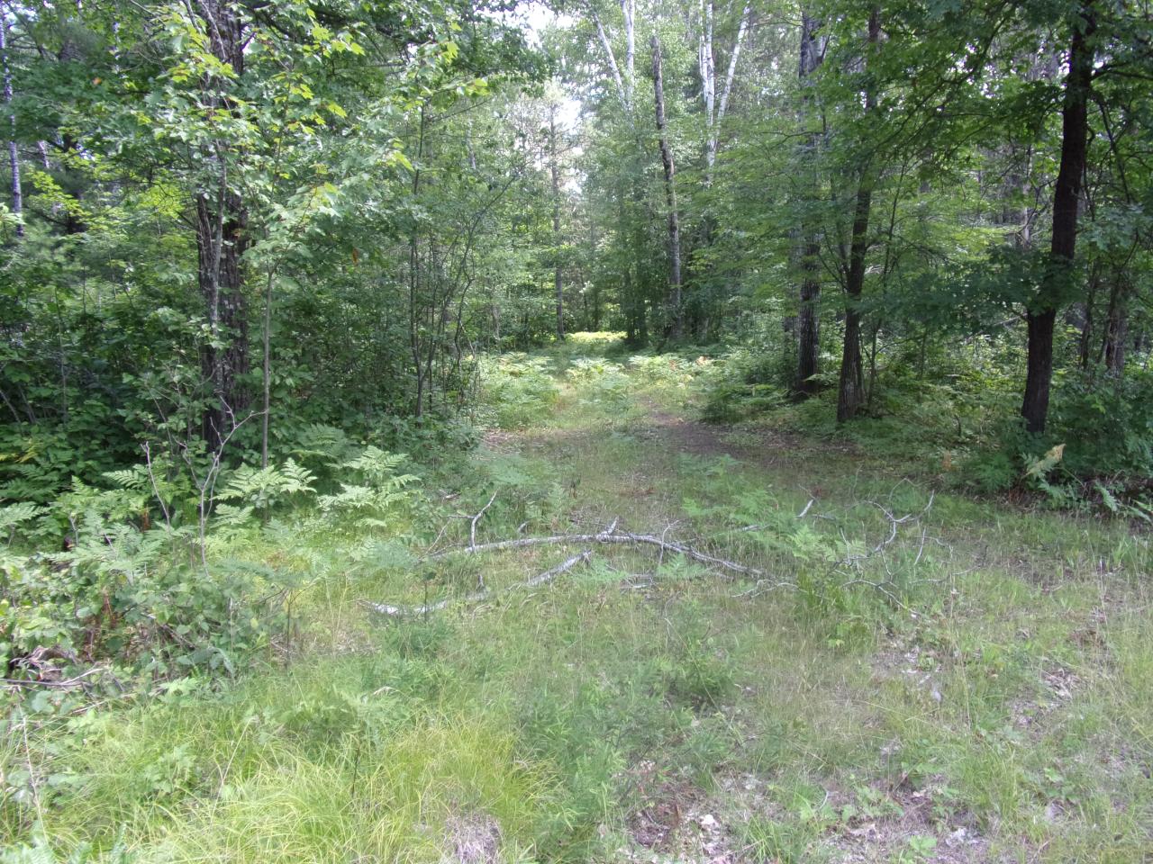24-67 White Tail Acres Road St. Germain, WI 54558 - Photo 5 of 5 Gallery Image 5