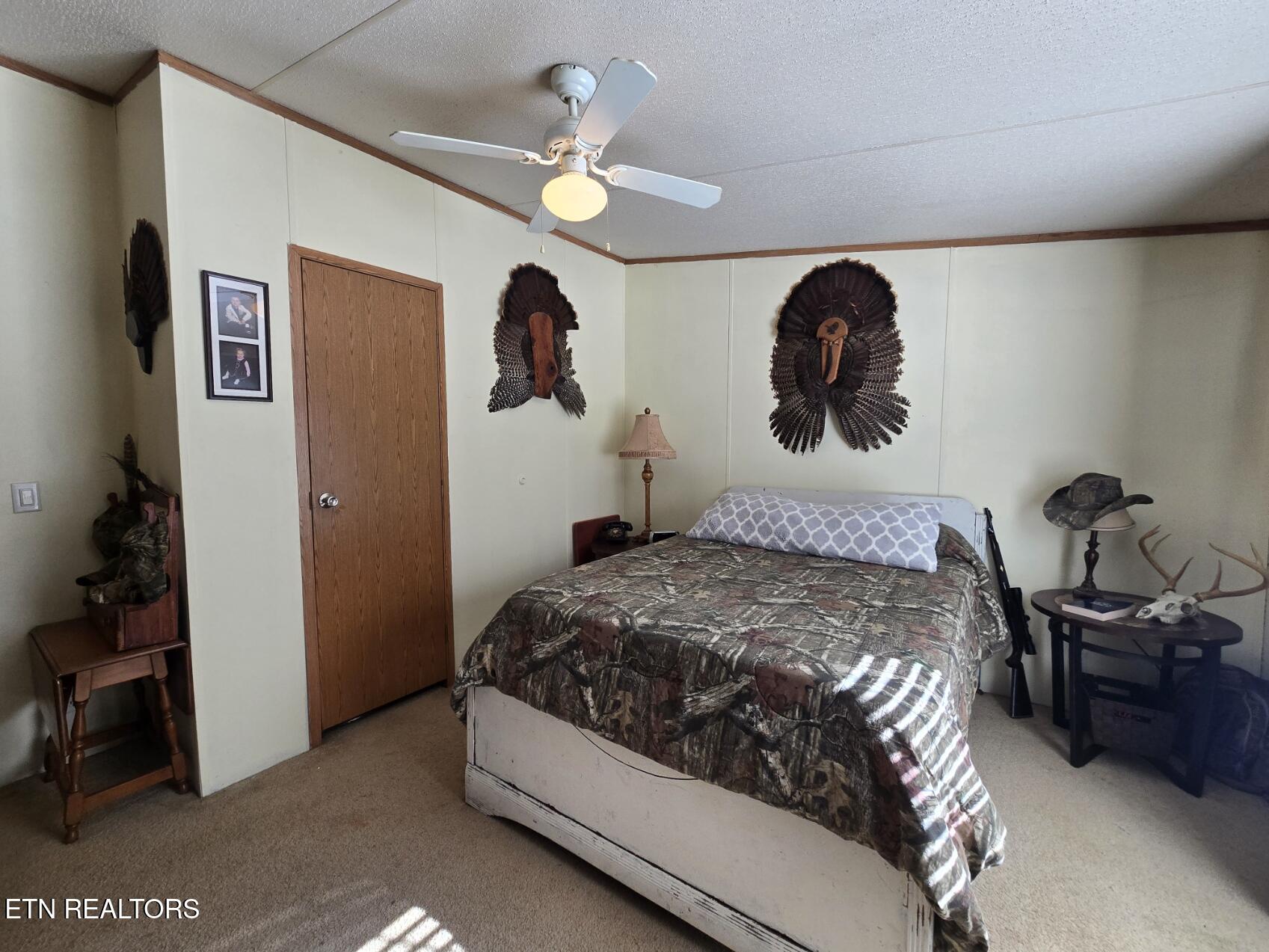 8275 Brimstone Road Robbins, TN 37852 - Photo 22 of 59 20260122_122144