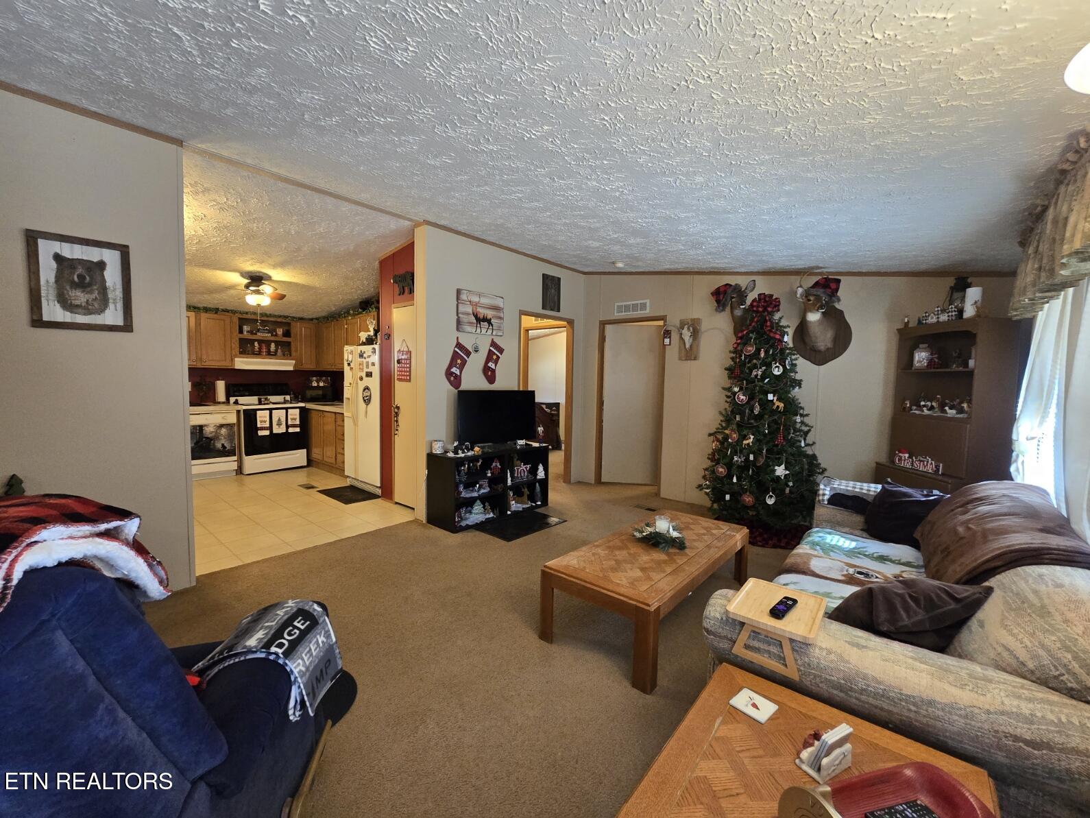 8275 Brimstone Road Robbins, TN 37852 - Photo 30 of 59 20260122_123855