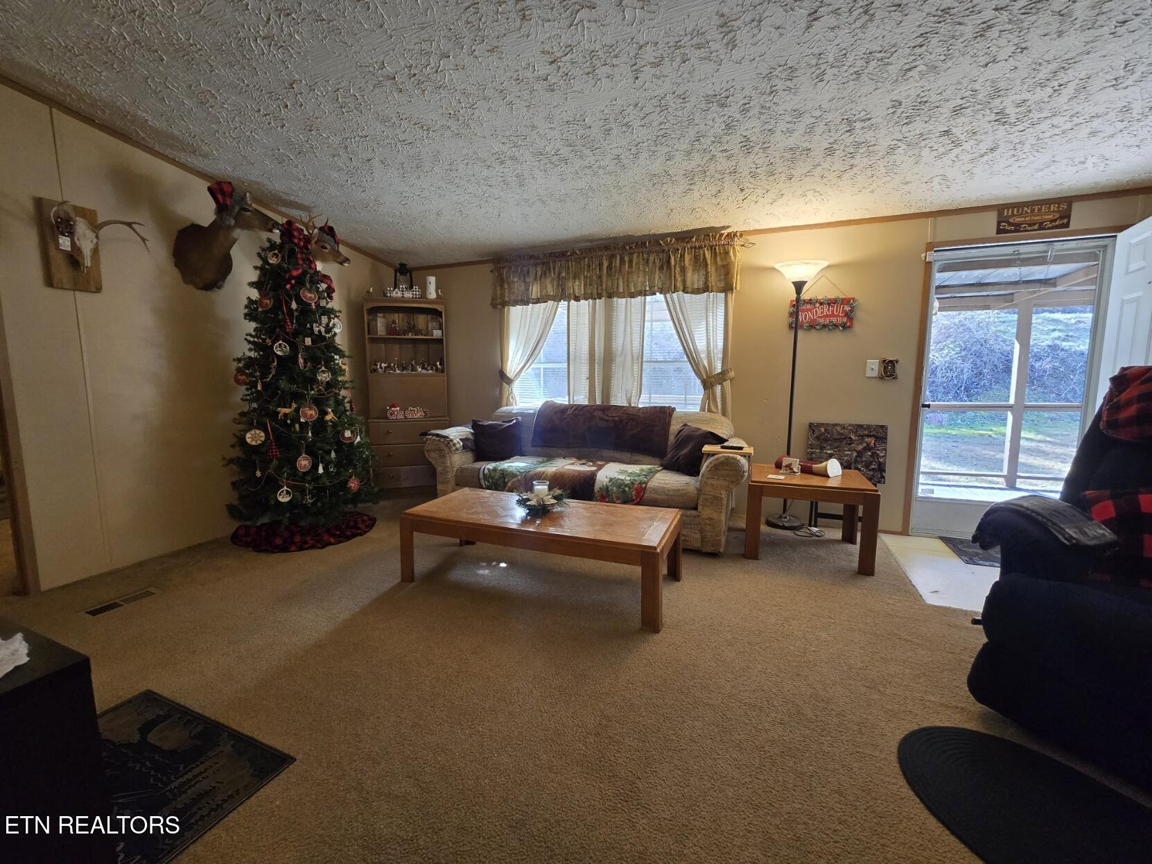 8275 Brimstone Road Robbins, TN 37852 - Photo 31 of 59 20260122_123904