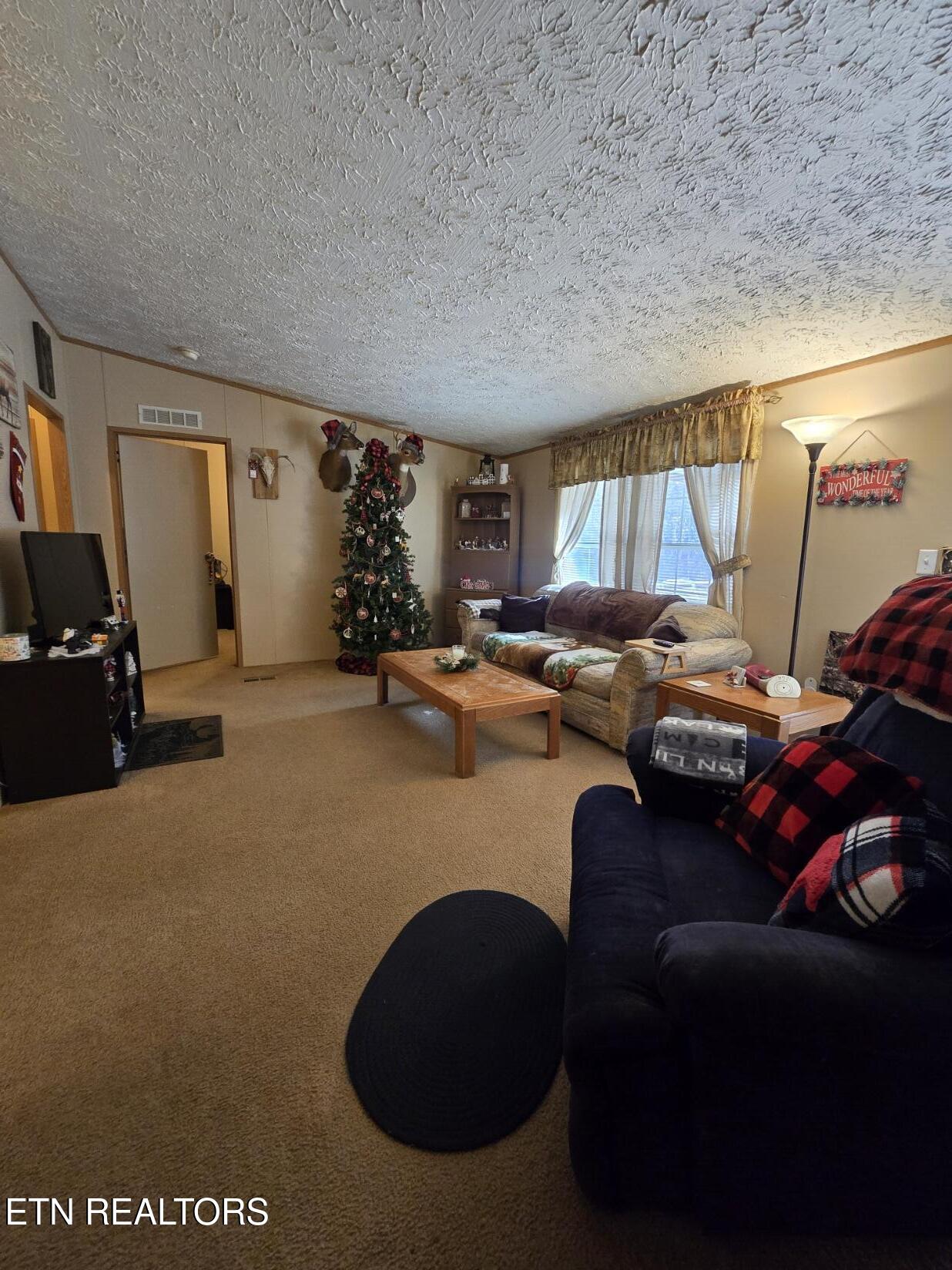 8275 Brimstone Road Robbins, TN 37852 - Photo 32 of 59 20260122_123911