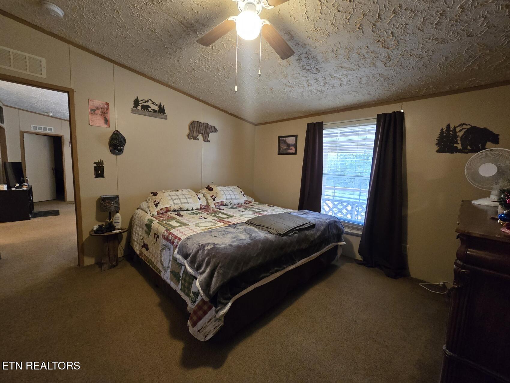 8275 Brimstone Road Robbins, TN 37852 - Photo 41 of 59 20260122_124133