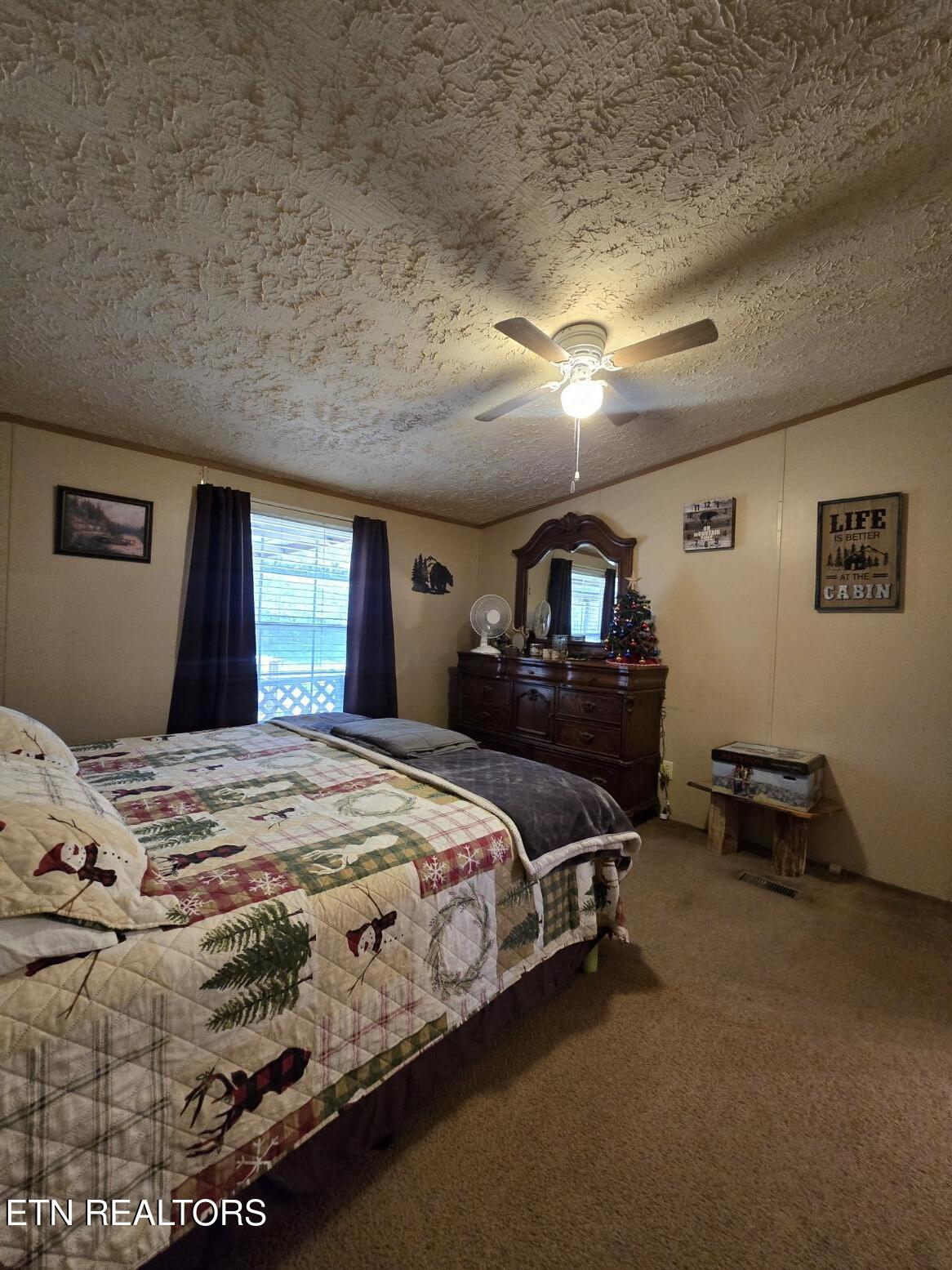 8275 Brimstone Road Robbins, TN 37852 - Photo 42 of 59 20260122_124056