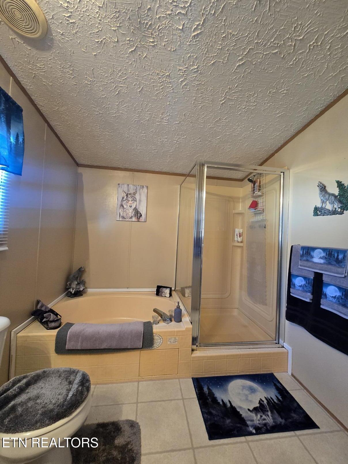 8275 Brimstone Road Robbins, TN 37852 - Photo 43 of 59 20260122_124120