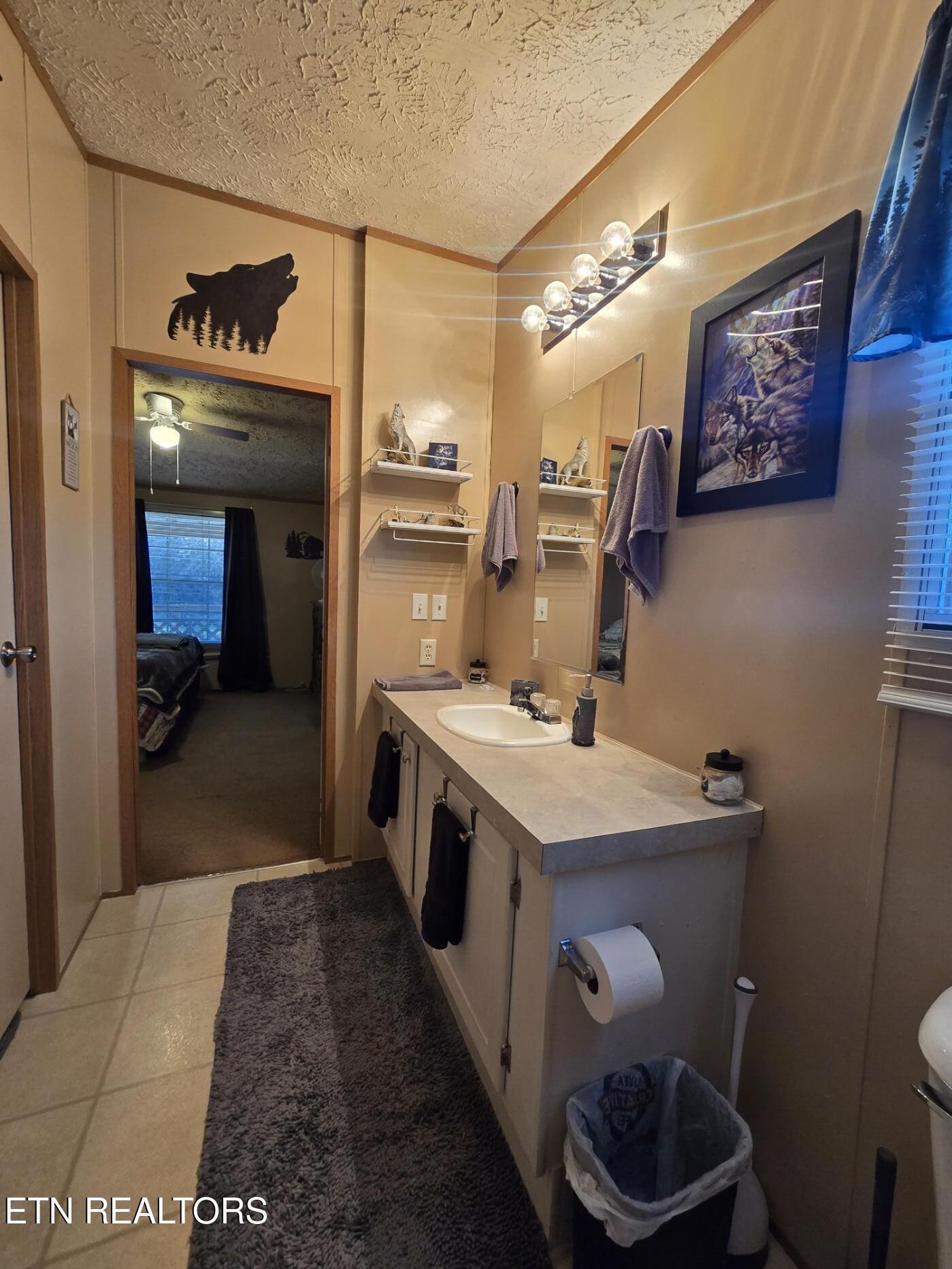 8275 Brimstone Road Robbins, TN 37852 - Photo 44 of 59 20260122_124126