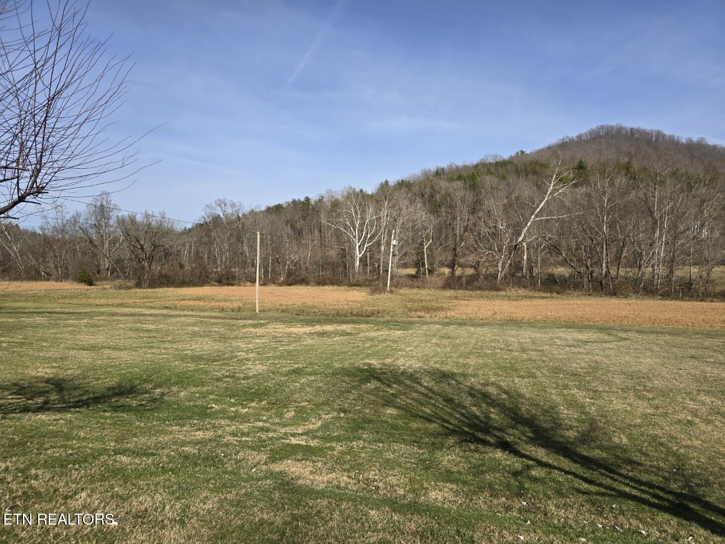 8275 Brimstone Road Robbins, TN 37852 - Photo 55 of 59 20260122_121241