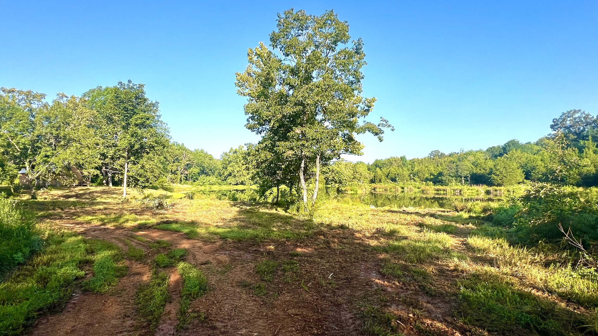 2371 Sylvia Road Dickson, TN 37055 - Photo 16 of 24