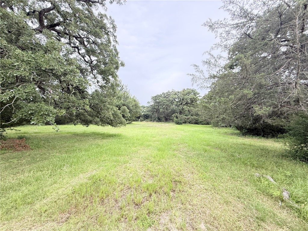 Tbd Wannabe Road Bryan, TX 77808 - Photo 11 of 42