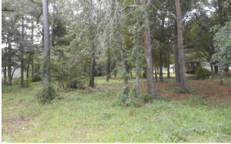 85082 Madeline Road Yulee, FL 32097 - Photo 6 of 6 Gallery Image 6