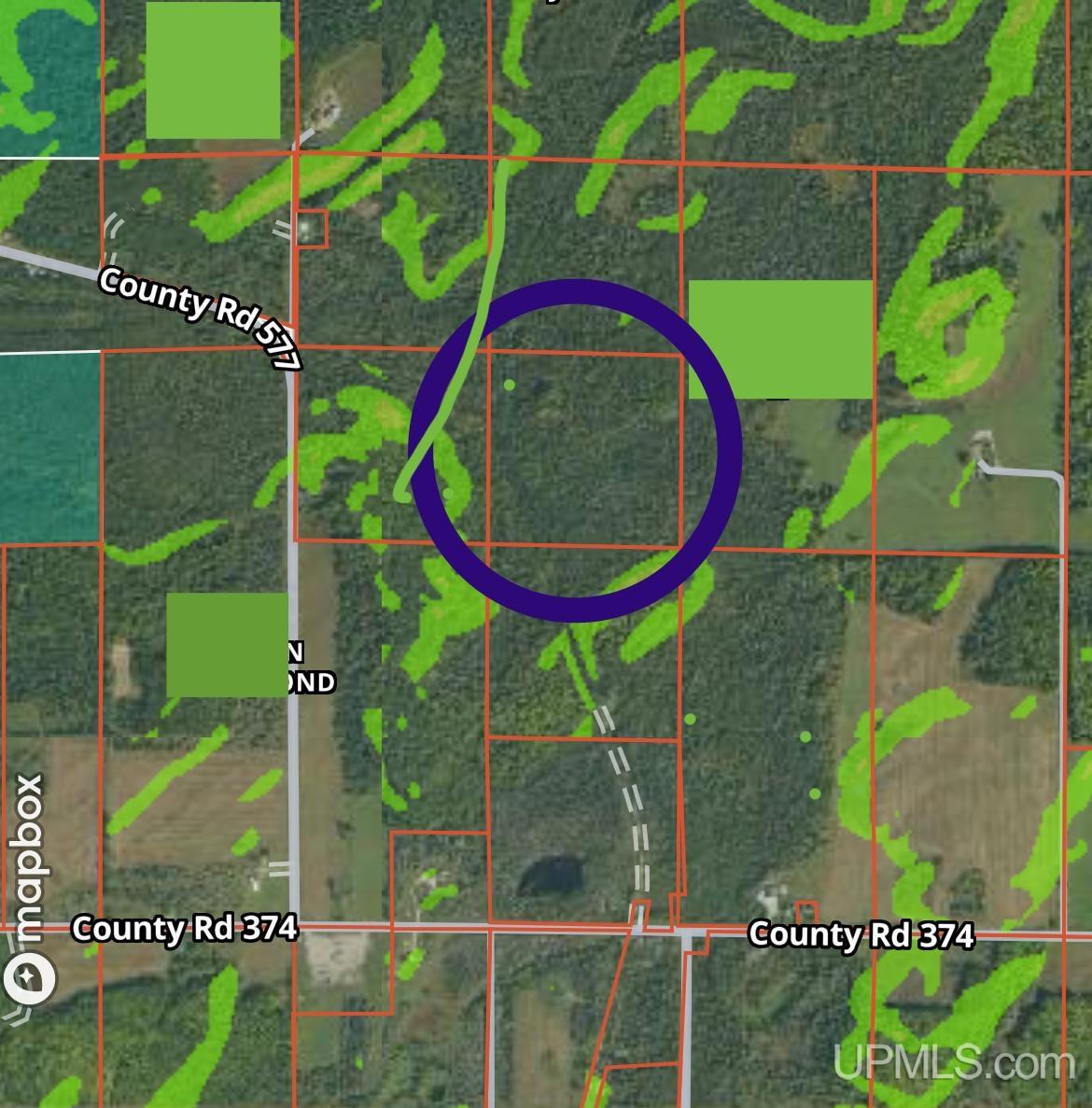 577 Rd Daggett Mi 49821 Road, Unit NONE Daggett, MI 49821 - Photo 9 of 9