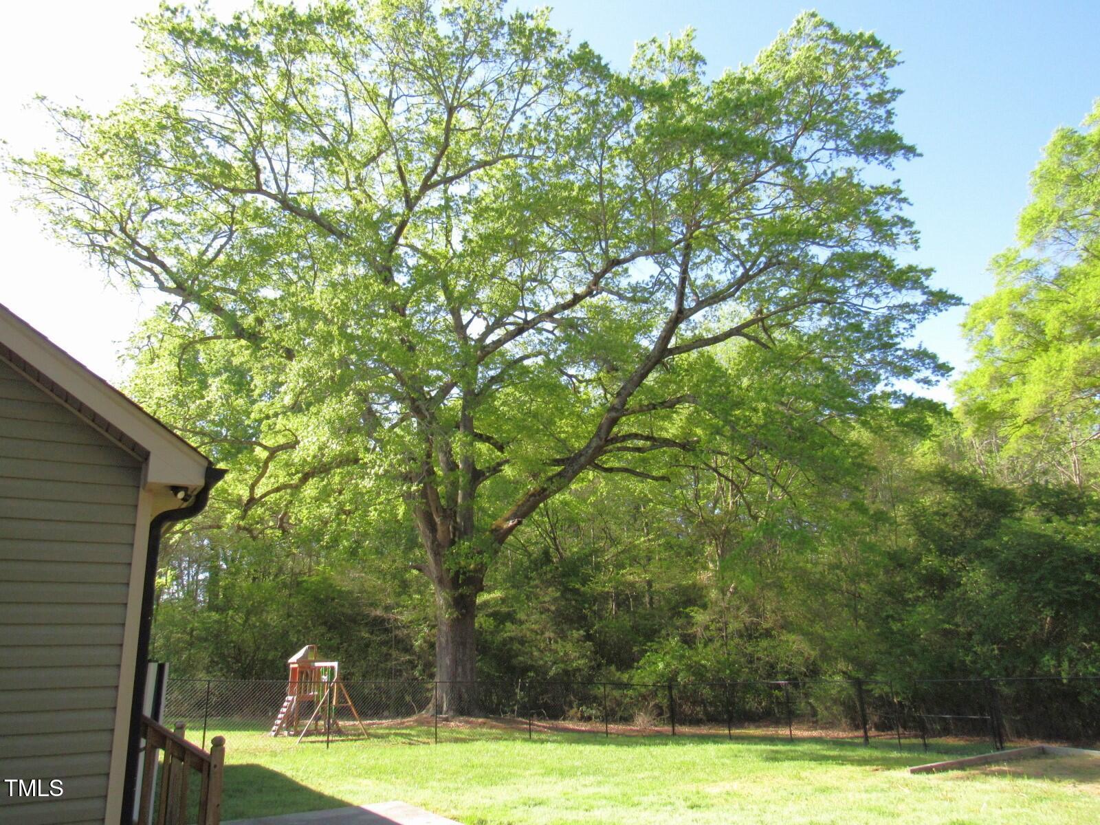 126 Creedmoor Road Stem, NC 27581 - Photo 26 of 29 Backyard