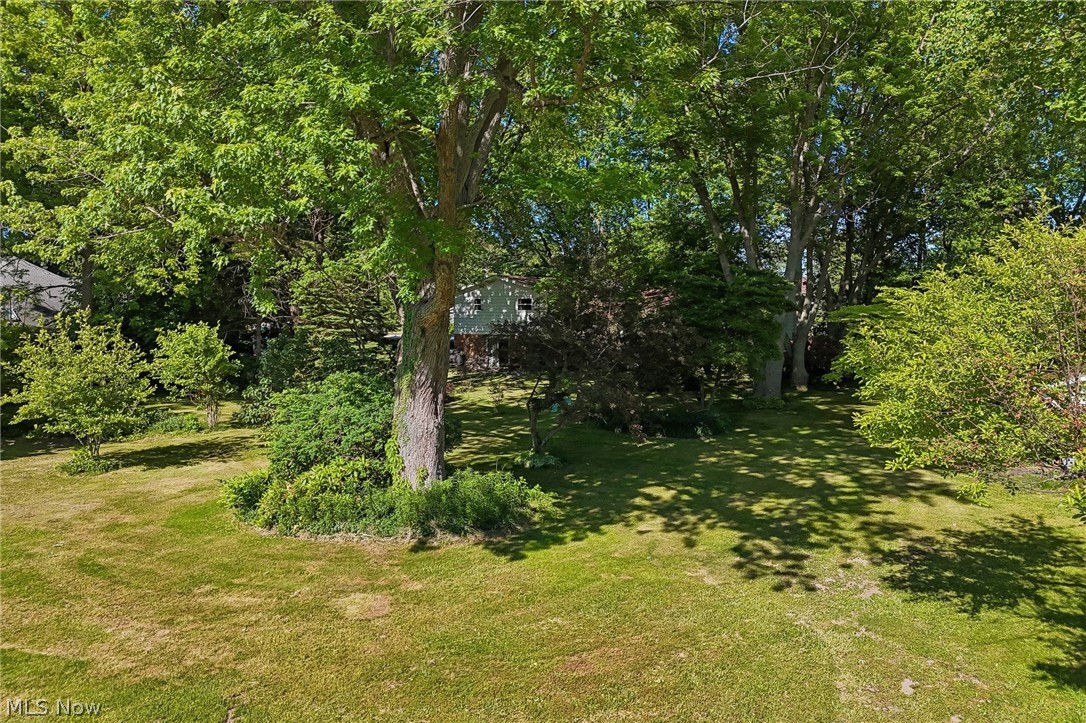 2428 Antioch Road Perry, OH 44081 - Photo 12 of 46 Expansive green lawn with mature trees providing ample shade