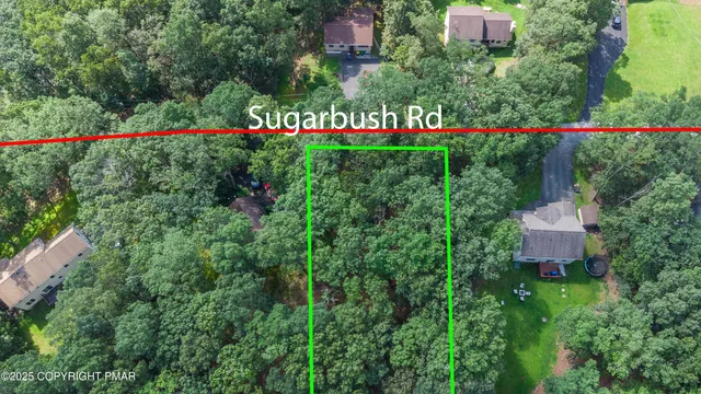 a view of a bunch of flowers